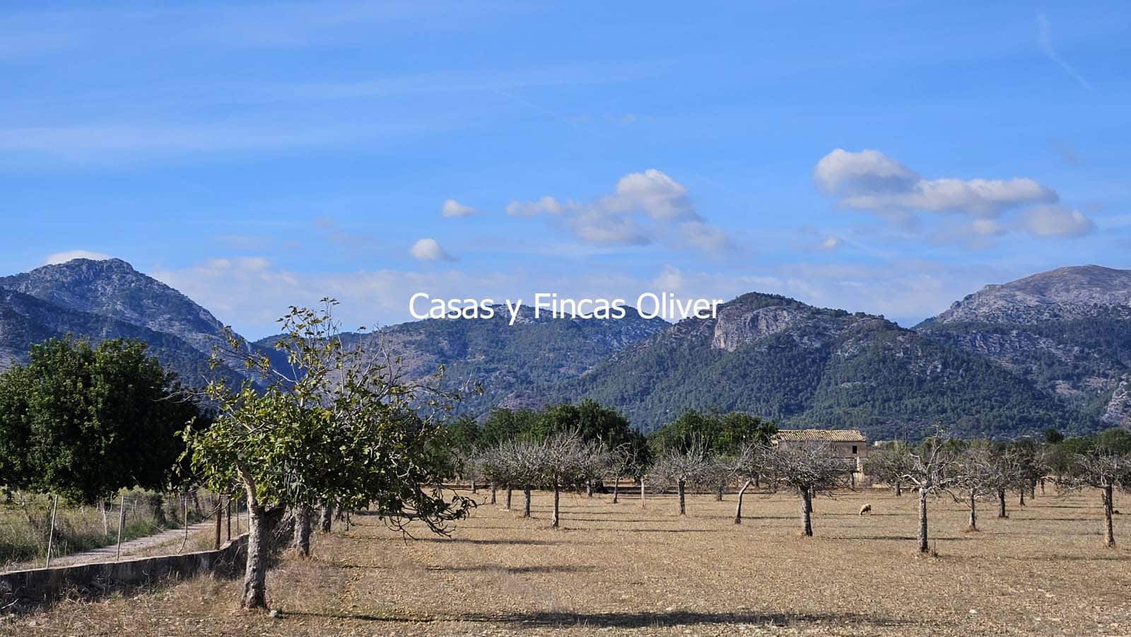 Finca/Casa Rural en Selva en venta - 499.000 € (Ref: 10165401)