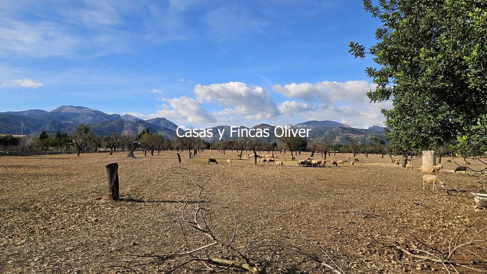 Finca/Casa Rural en Selva en venta - 499.000 € (Ref: 10165401)