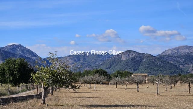 Finca/Casa Rural en Selva en venta - 499.000 € (Ref: 10165401)
