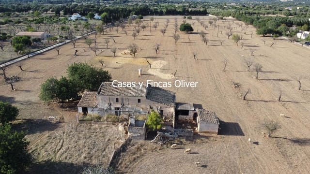 Finca/Casa Rural en Selva en venta - 499.000 € (Ref: 10165401)