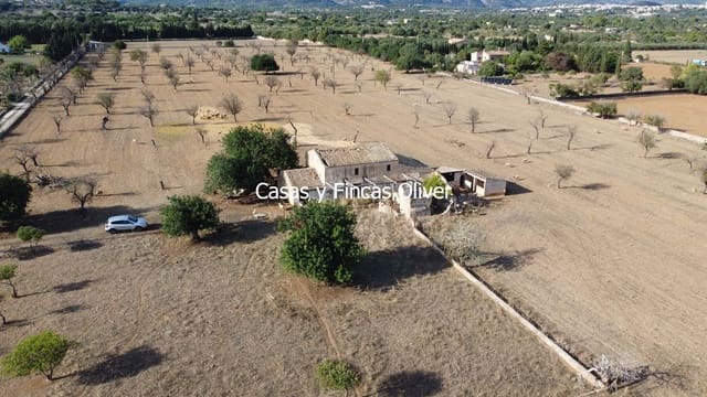 Finca/Casa Rural en Selva en venta - 499.000 € (Ref: 10165401)
