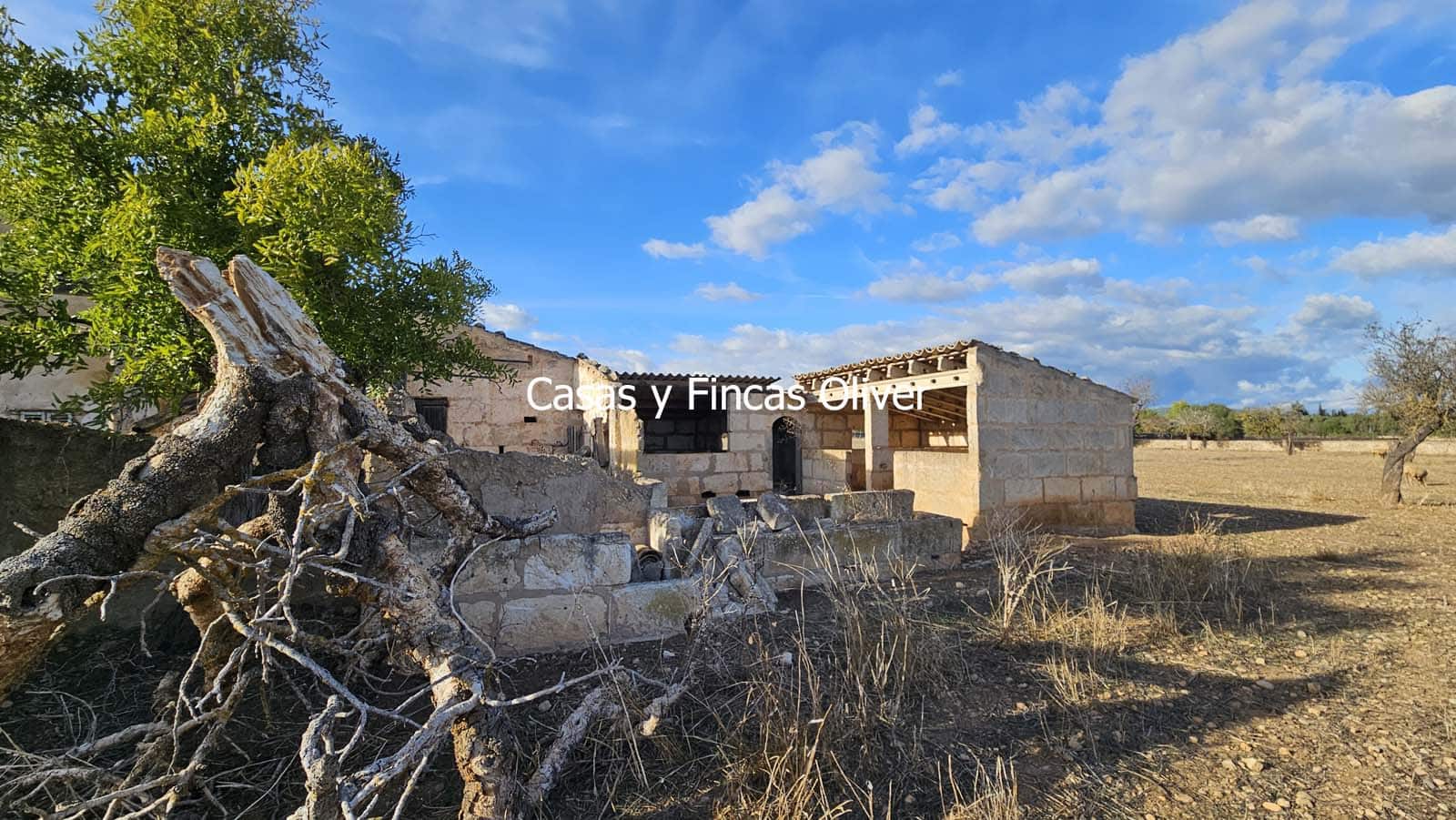 Finca/Casa Rural en Selva en venta - 499.000 € (Ref: 10165401)