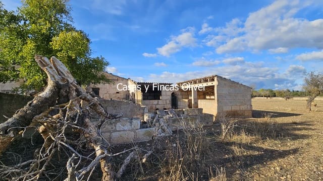 Finca/Casa Rural en Selva en venta - 499.000 € (Ref: 10165401)