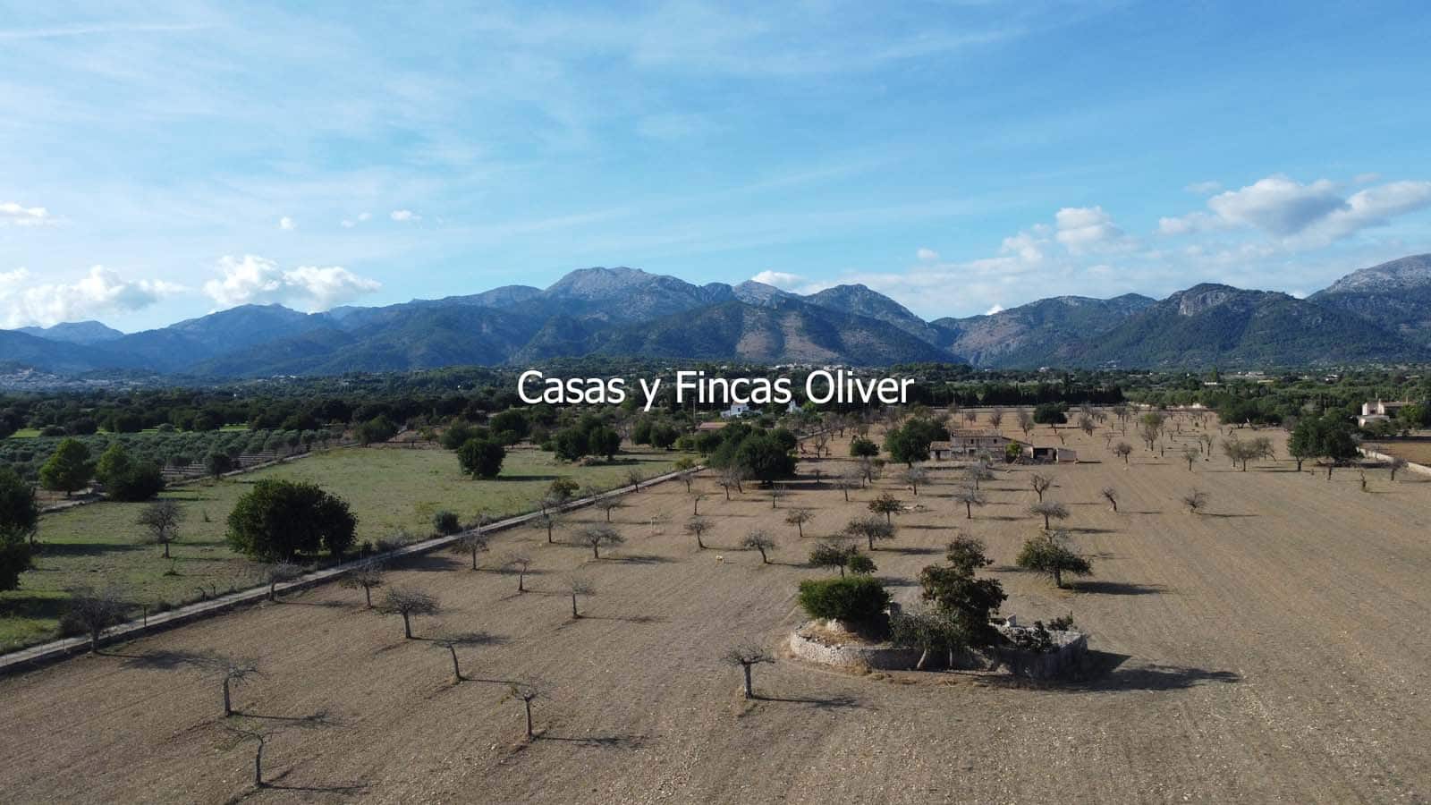 Terreno para Construção para venda em Selva - 499 000 € (Ref: 10165654)