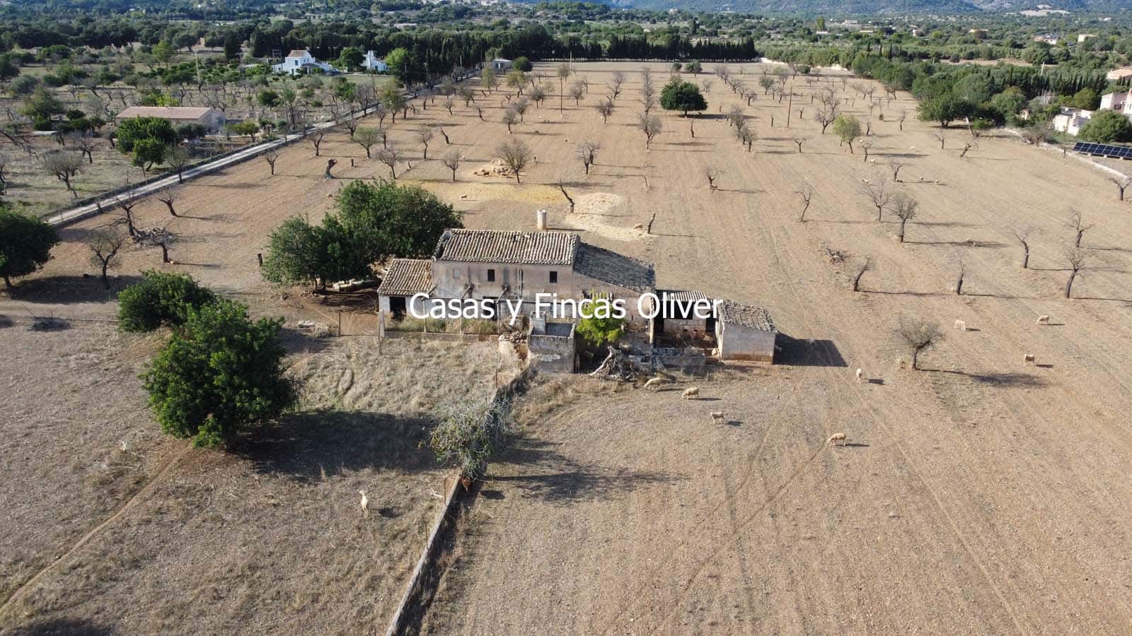 Terreno para Construção para venda em Selva - 499 000 € (Ref: 10165654)