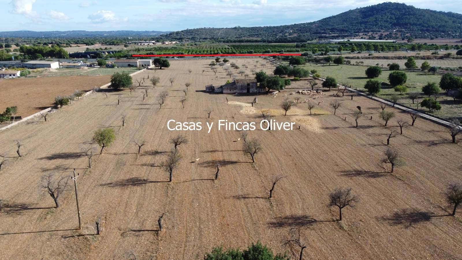 Terreno para Construção para venda em Selva - 499 000 € (Ref: 10165654)