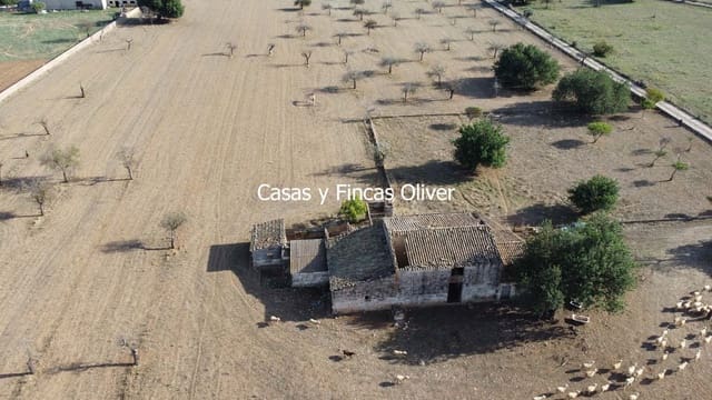Terreno para Construção para venda em Selva - 499 000 € (Ref: 10165654)