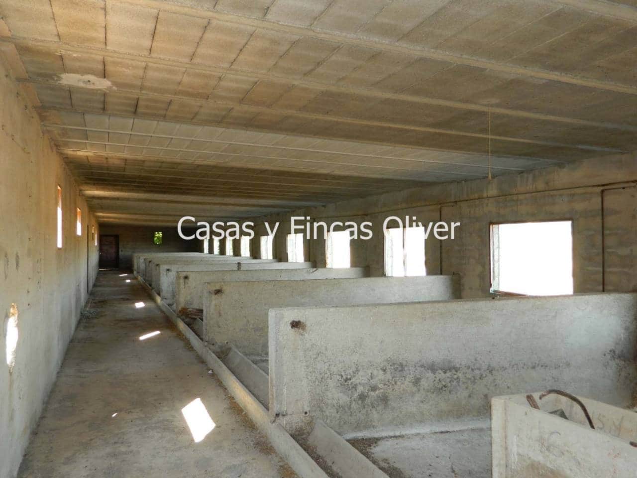 3 soveværelse Byhus til salg i Ariany med garage - € 399.000 (Ref: 3511206)