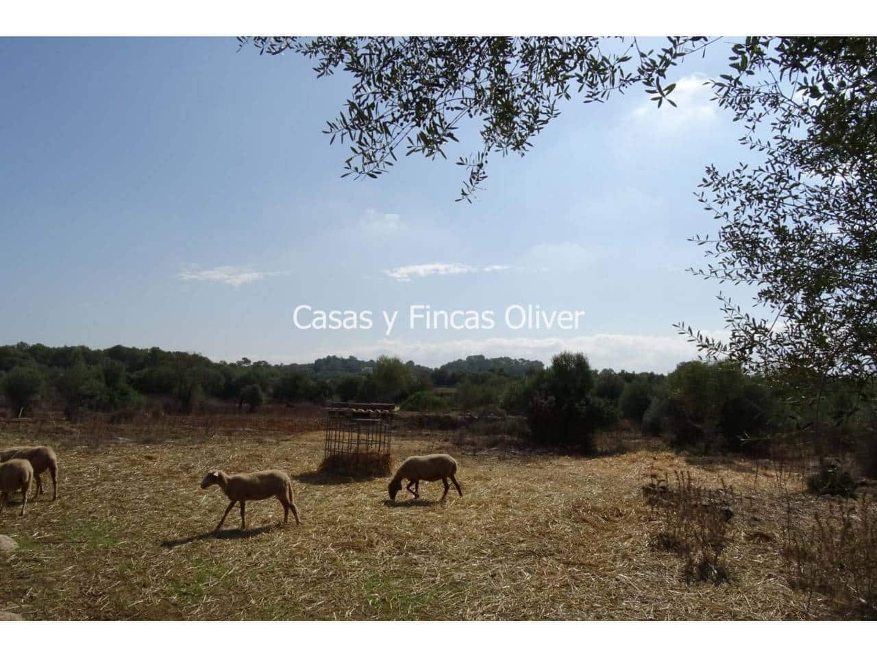 Byhus til salg i Llubi - € 600.000 (Ref: 5480735)