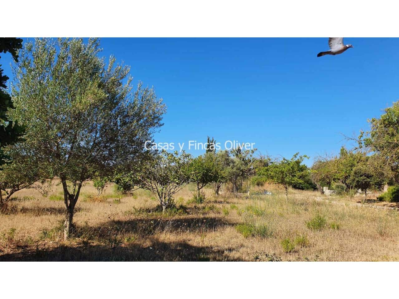 3 soveværelse Byhus til salg i Inca med garage - € 650.000 (Ref: 6966762)