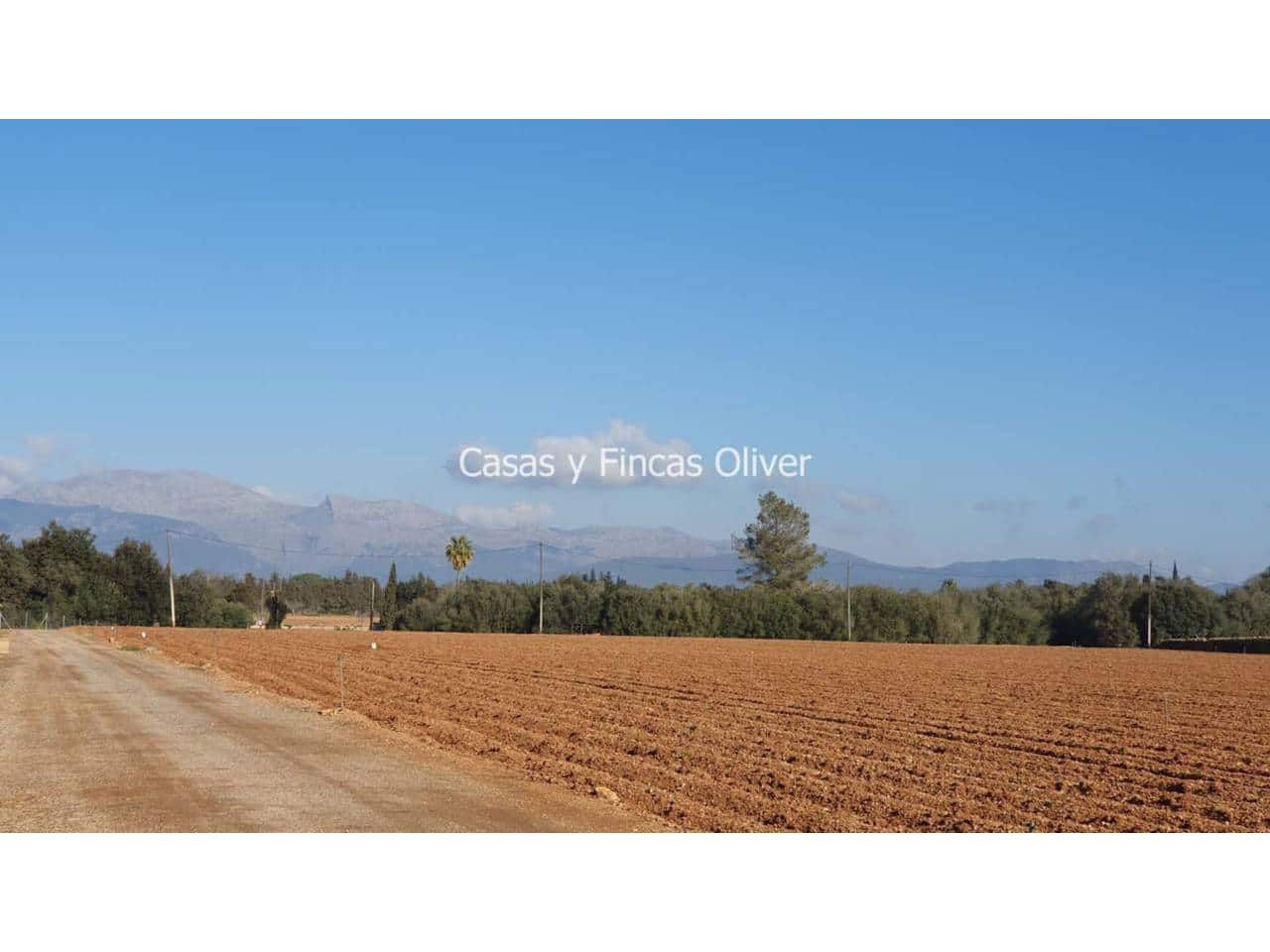 Grunde uden byggetilladelser til salg i Llubi - € 344.000 (Ref: 7409752)