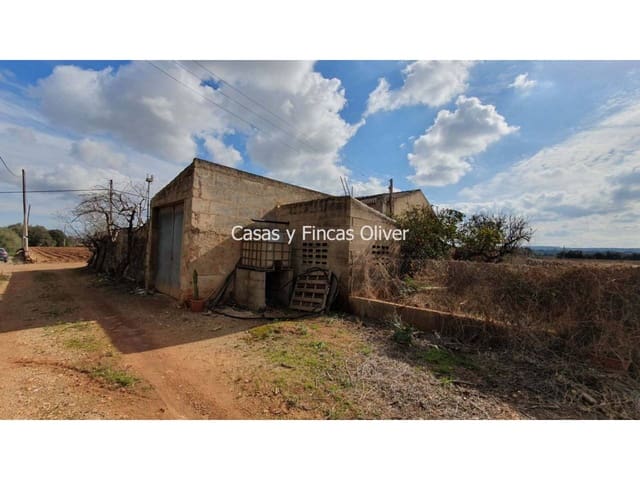 Undeveloped Land for sale in Llubí - € 344,000 (Ref: 7409752)