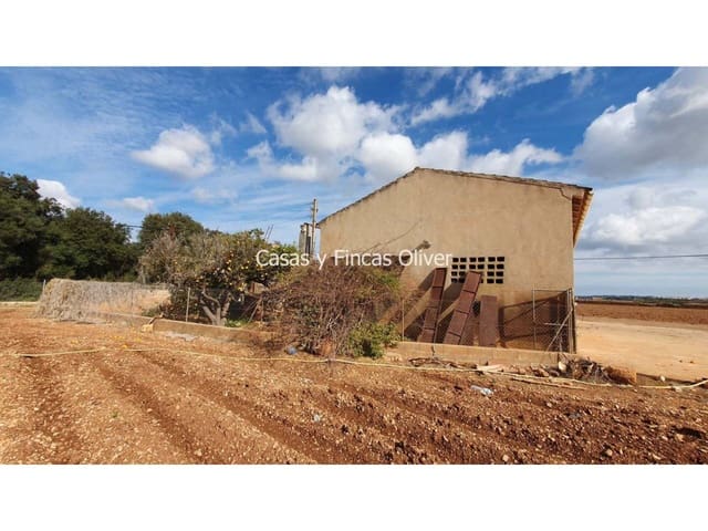 Undeveloped Land for sale in Llubí - € 344,000 (Ref: 7409752)