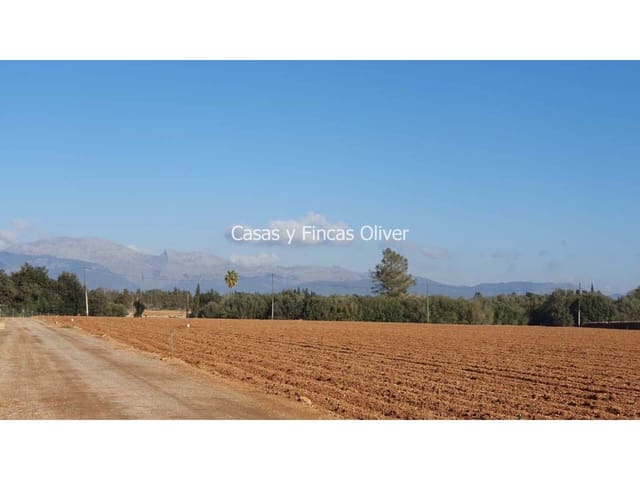 Undeveloped Land for sale in Llubí - € 344,000 (Ref: 7409752)