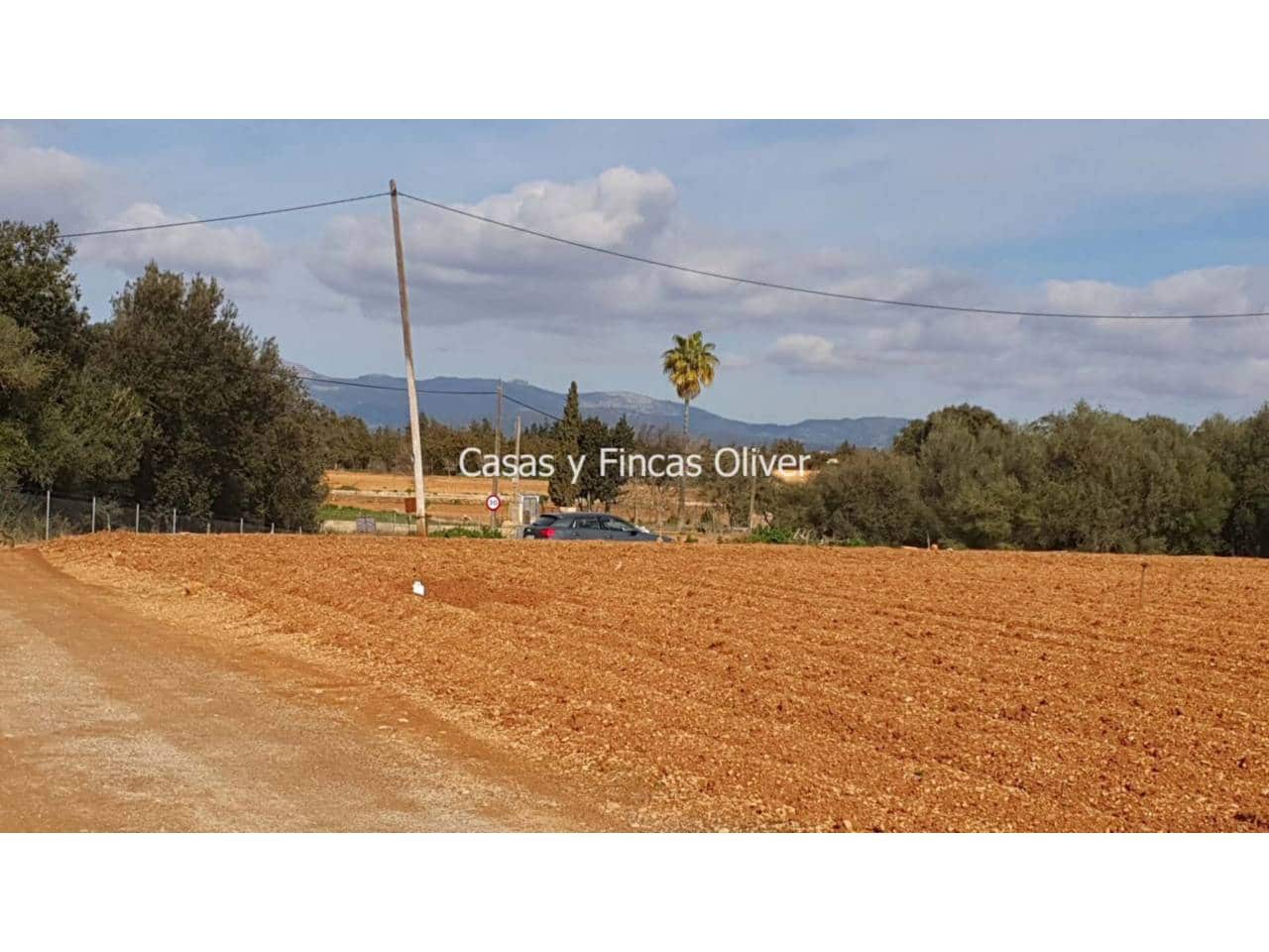 Grunde uden byggetilladelser til salg i Llubi - € 344.000 (Ref: 7409752)