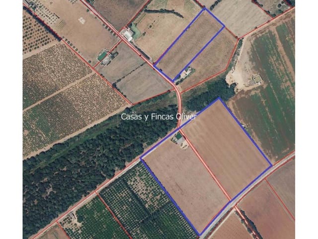 Undeveloped Land for sale in Llubí - € 344,000 (Ref: 7409752)