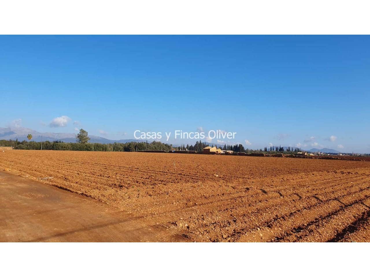 Grunde uden byggetilladelser til salg i Llubi - € 344.000 (Ref: 7409752)