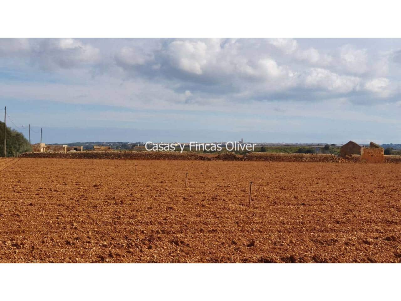 Grunde uden byggetilladelser til salg i Llubi - € 344.000 (Ref: 7409752)