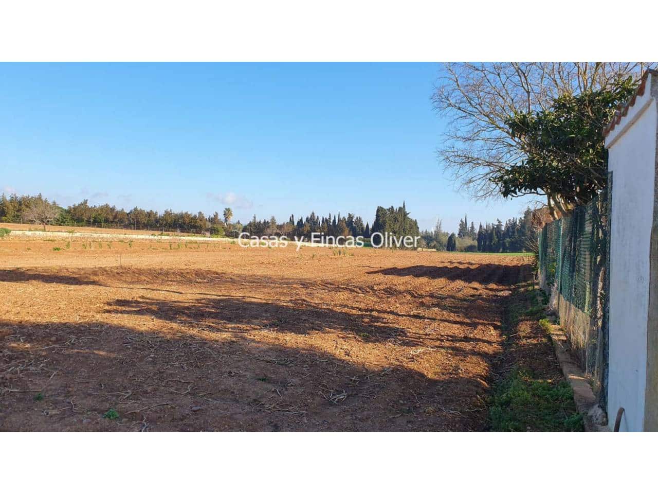 Grunde uden byggetilladelser til salg i Llubi - € 344.000 (Ref: 7409752)