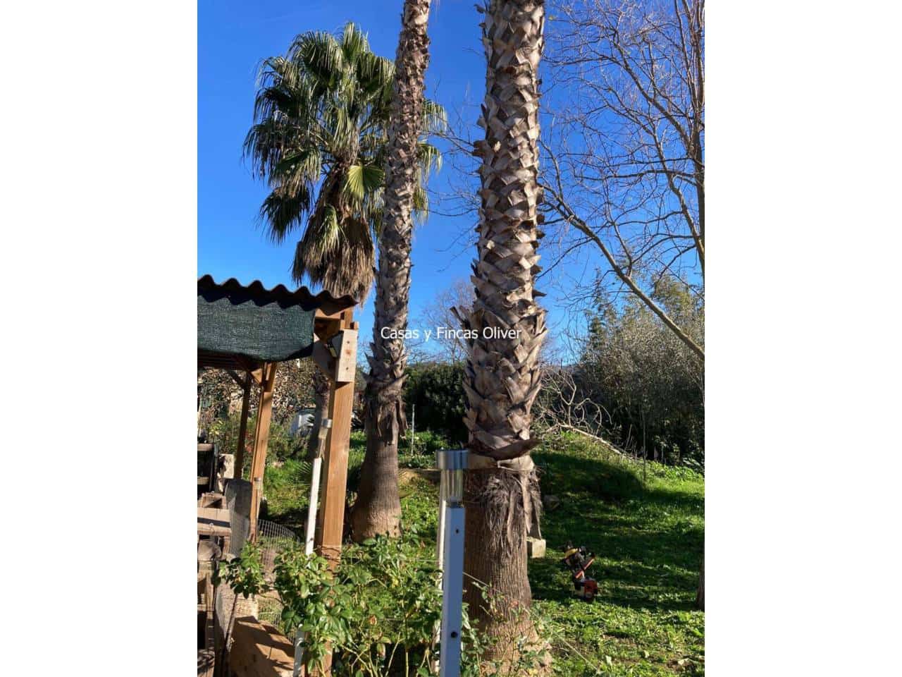 3 soveværelse Byhus til salg i Inca - € 475.000 (Ref: 8445241)