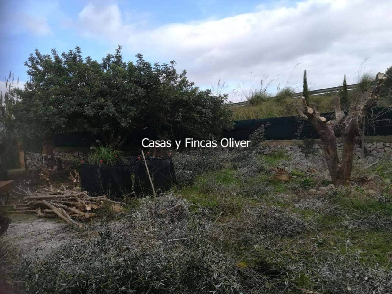 3 soveværelse Byhus til salg i Inca - € 475.000 (Ref: 8445241)