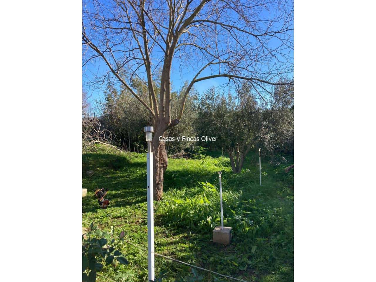 3 soveværelse Byhus til salg i Inca - € 475.000 (Ref: 8445241)