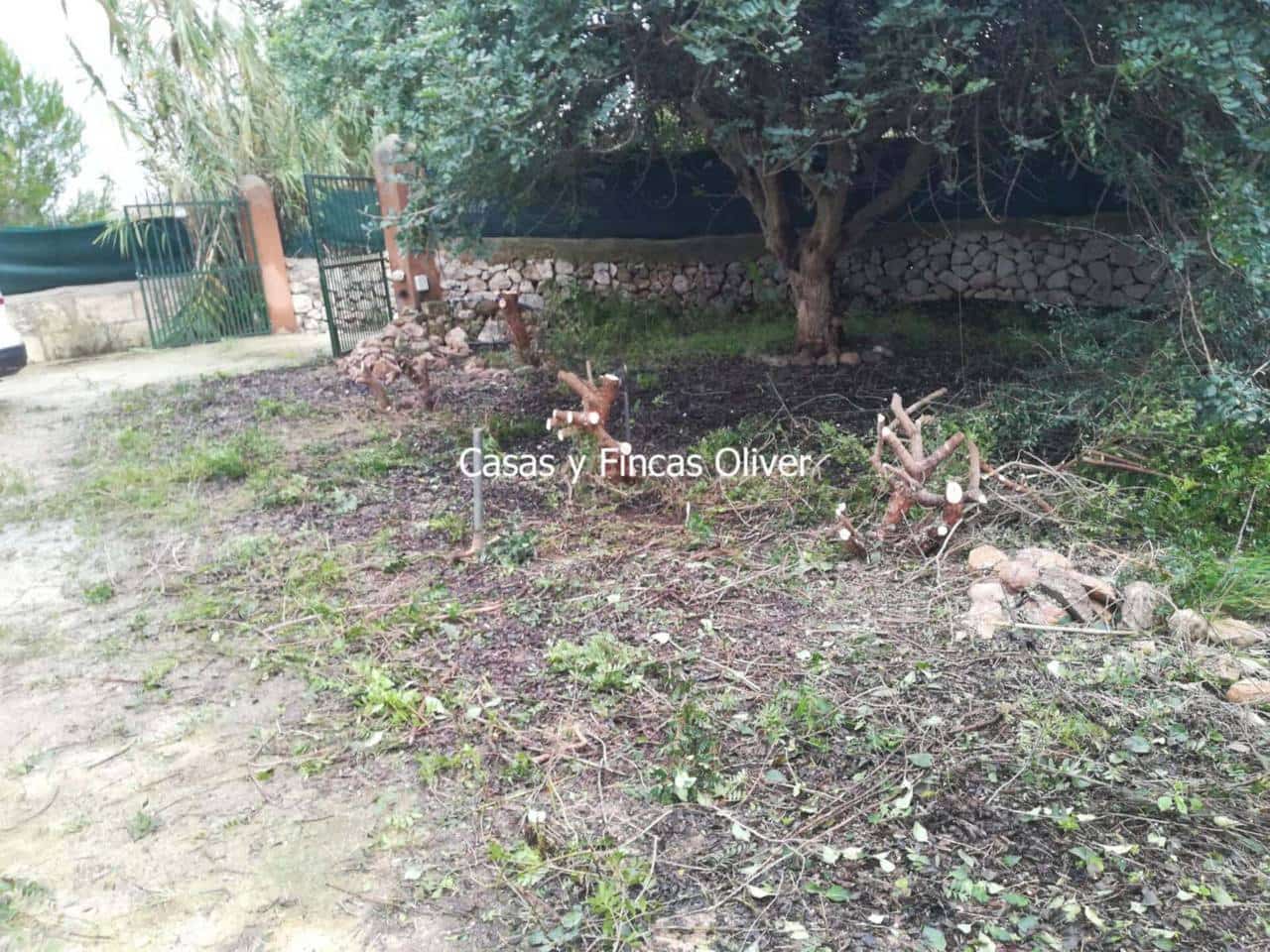 3 soveværelse Byhus til salg i Inca - € 475.000 (Ref: 8445241)