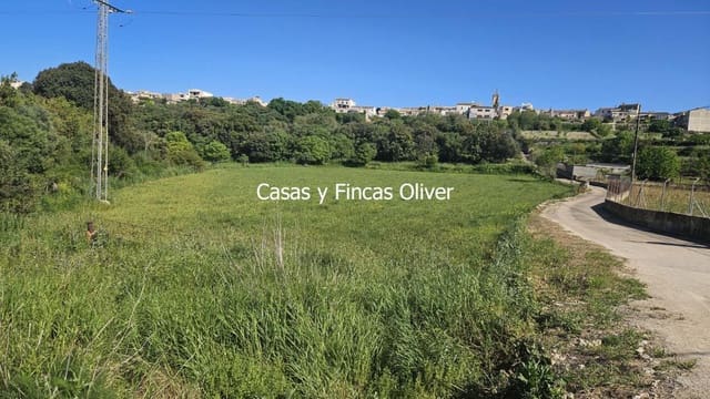 Undeveloped Land for sale in Llubí - € 40,000 (Ref: 9014705)