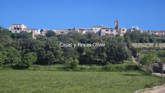 Undeveloped Land for sale in Llubí - € 40,000 (Ref: 9014705)