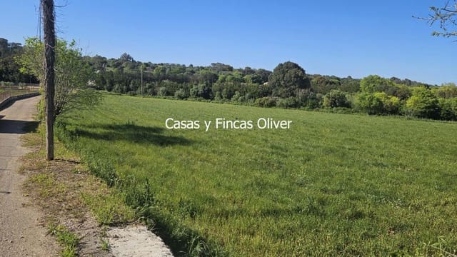 Undeveloped Land for sale in Llubí - € 40,000 (Ref: 9014705)