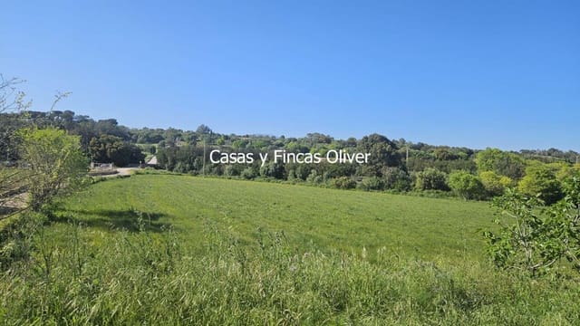 Undeveloped Land for sale in Llubí - € 40,000 (Ref: 9014705)
