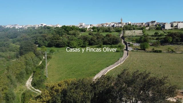 Undeveloped Land for sale in Llubí - € 40,000 (Ref: 9014705)