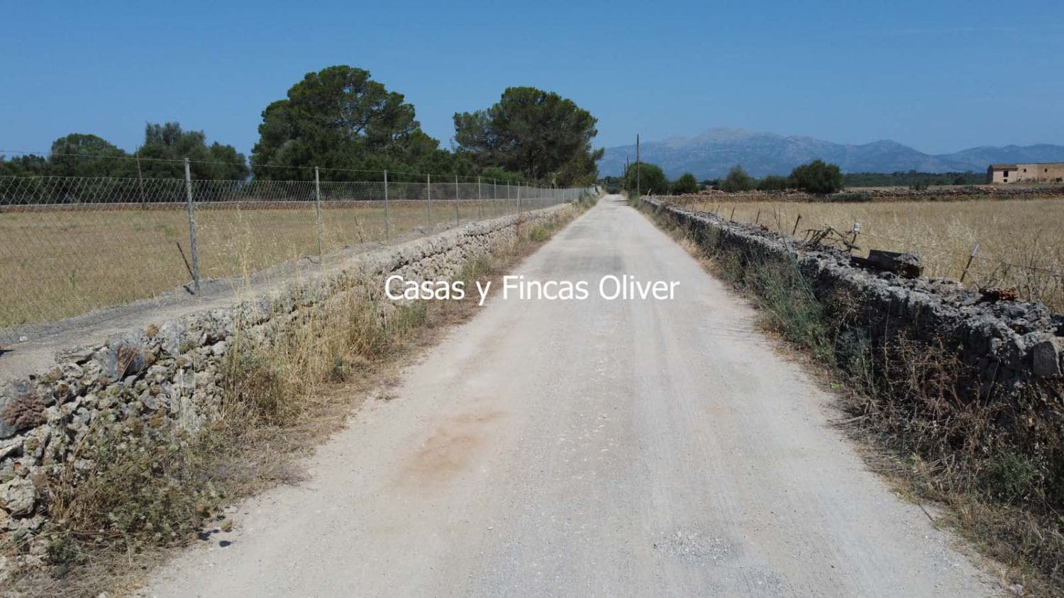 Grunde uden byggetilladelser til salg i Inca - € 300.000 (Ref: 9073813)