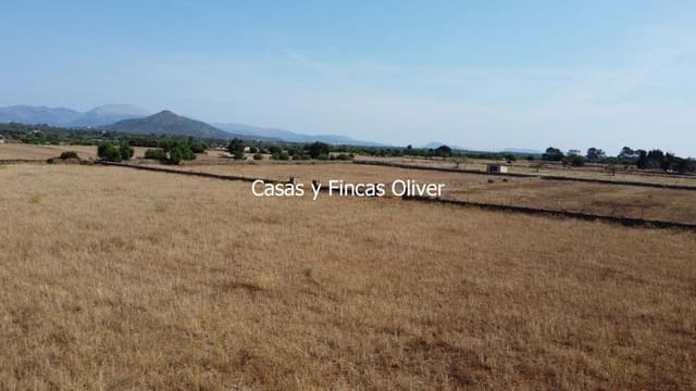 Grunde uden byggetilladelser til salg i Inca - € 300.000 (Ref: 9073813)