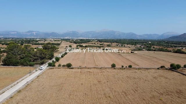 Grunde uden byggetilladelser til salg i Inca - € 300.000 (Ref: 9073813)