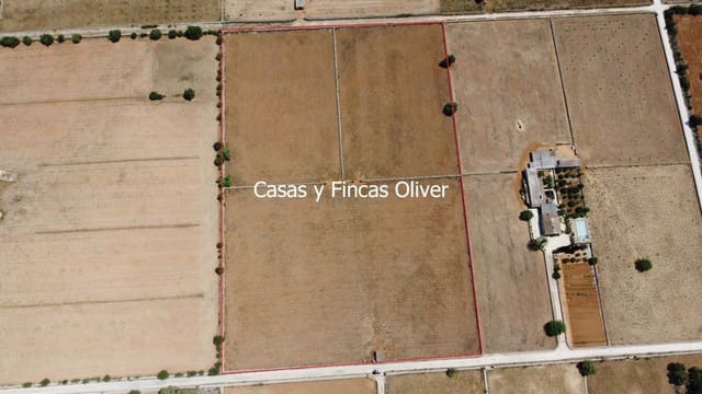 Grunde uden byggetilladelser til salg i Inca - € 300.000 (Ref: 9073813)