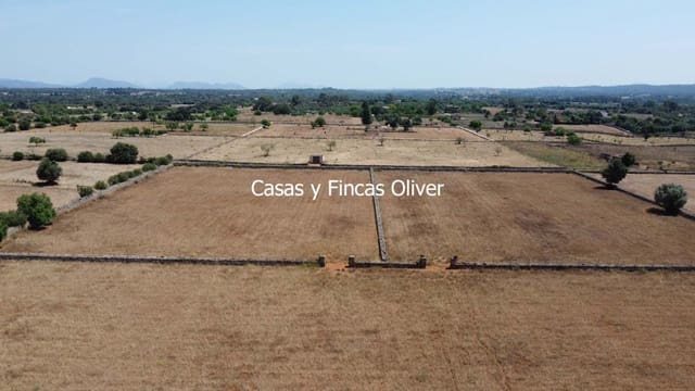 Grunde uden byggetilladelser til salg i Inca - € 300.000 (Ref: 9073813)