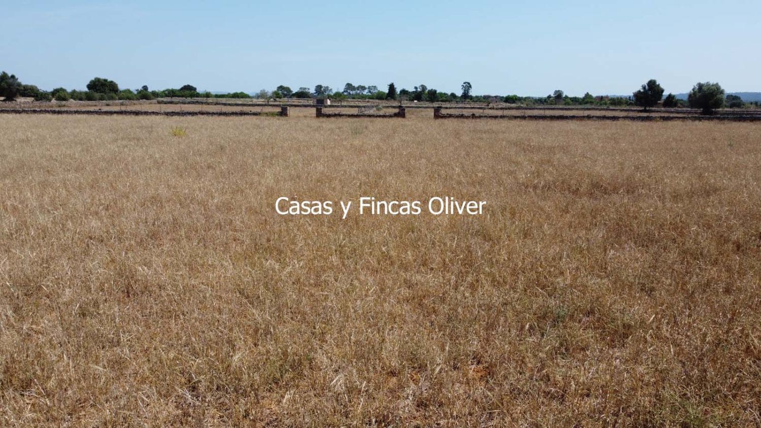 Grunde uden byggetilladelser til salg i Inca - € 300.000 (Ref: 9073813)