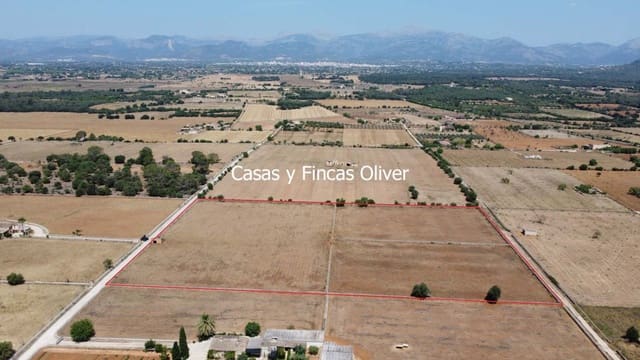 Grunde uden byggetilladelser til salg i Inca - € 300.000 (Ref: 9073813)