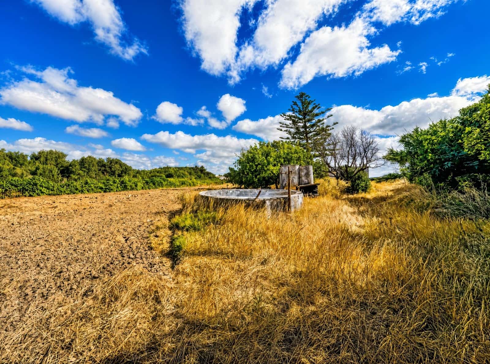 Undeveloped Land for sale in Chiclana de la Frontera - € 199,990 (Ref: 10004138)