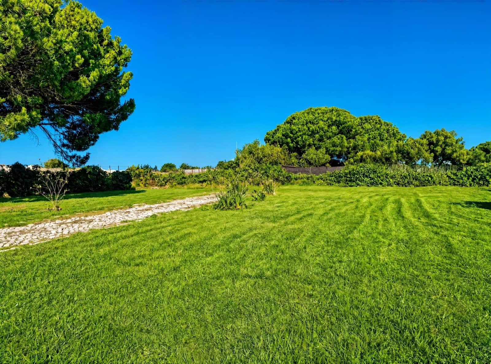 Undeveloped Land for sale in Chiclana de la Frontera - € 199,990 (Ref: 10004138)