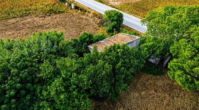 Terreno Non Edificato in vendita in Chiclana de la Frontera - 199.990 € (Rif: 10004138)