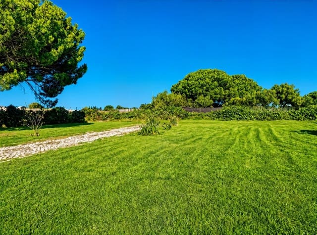 Terreno/Finca Rústica en Chiclana de la Frontera en venta - 199.990 € (Ref: 10004138)