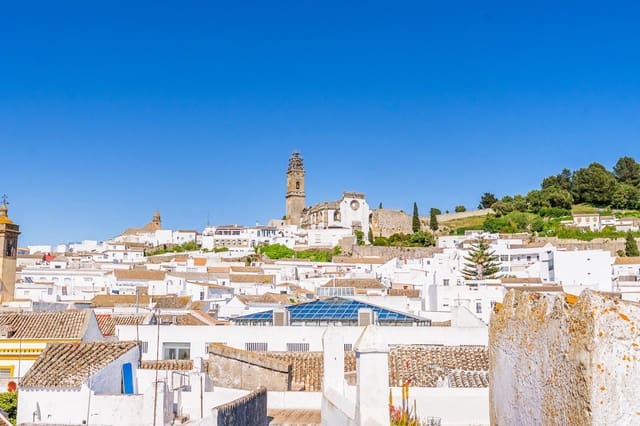 11 Zimmer Haus zu verkaufen in Medina-Sidonia - 159.990 € (Ref: 10067881)