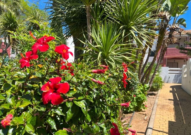 2 soveværelse Lejlighed til salg i La Barrosa, Chiclana de la Frontera med swimmingpool garage - € 305.000 (Ref: 9008647)