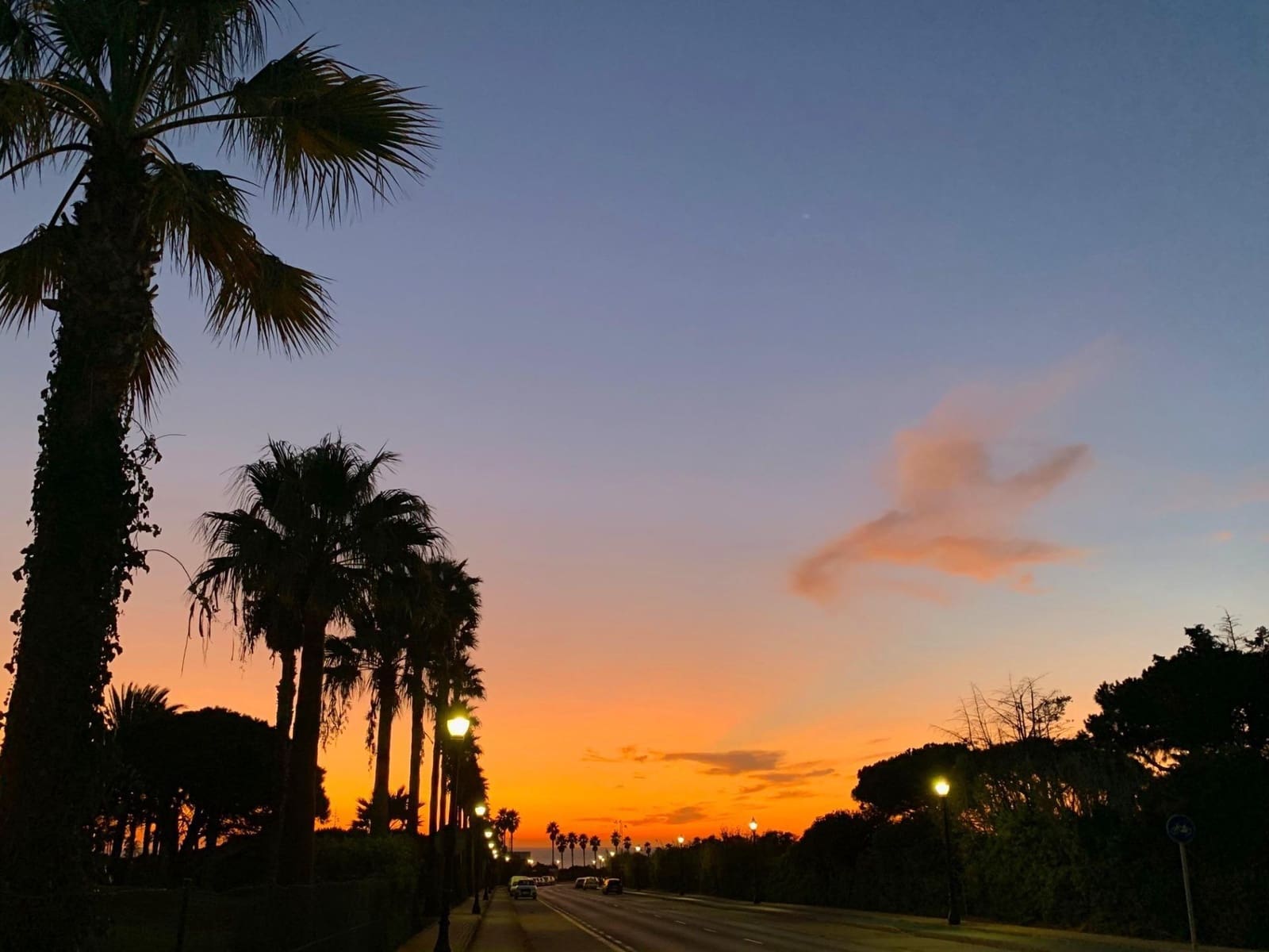 Erhverv til salg i Novo Sancti Petri - € 159.990 (Ref: 9287714)