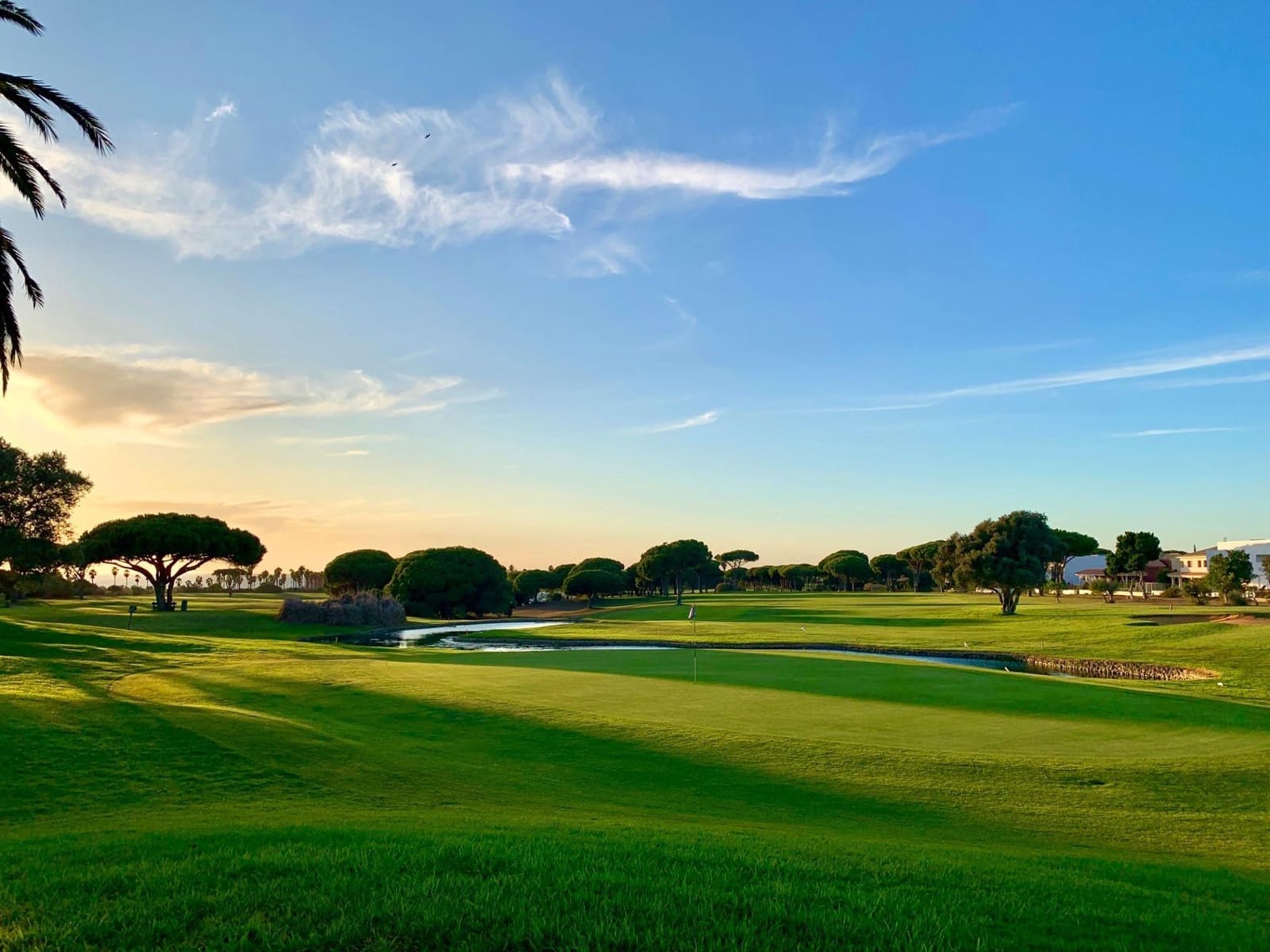 Erhverv til salg i Novo Sancti Petri - € 159.990 (Ref: 9287714)