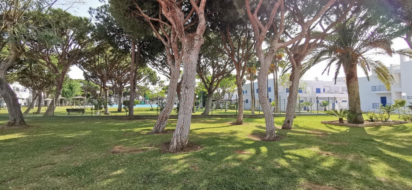 2 slaapkamer Appartement te koop in La Barrosa met zwembad - € 310.000 (Ref: 9527883)