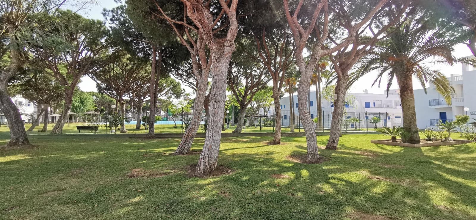 2 bedroom Apartment for sale in La Barrosa with pool - € 310,000 (Ref: 9527883)
