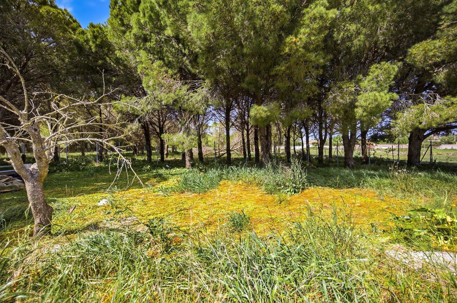 2 makuuhuone Huvila myytävänä paikassa Chiclana de la Frontera - 199 990 € (Ref: 9812328)